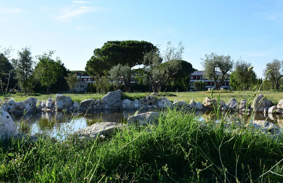 Hotel Salus Terme - Adults Only-1