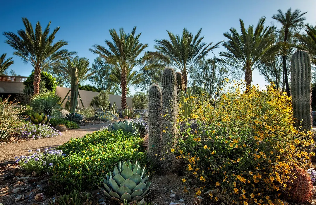 The Scottsdale Resort & Spa, Curio Collection By Hilton-1