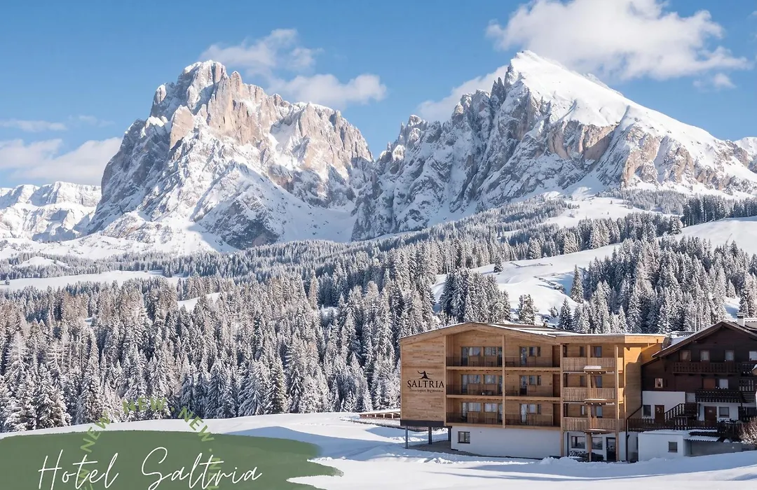 Saltria - Your Alpine Experience-1