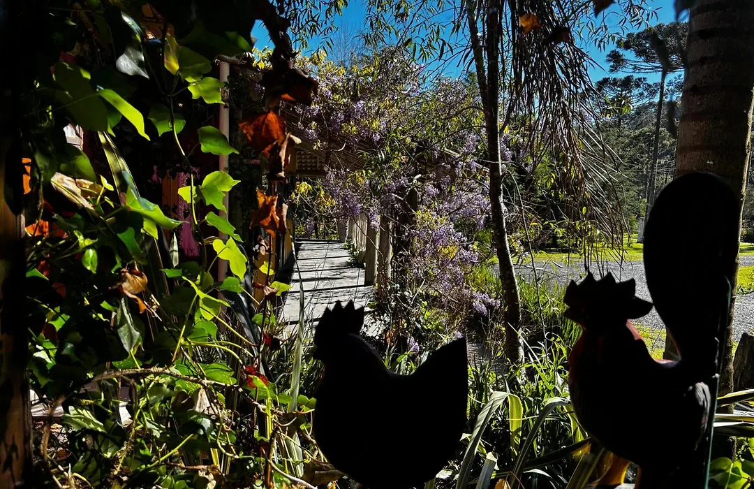 Pousada Jardim do Buda com Café e Piscina-1