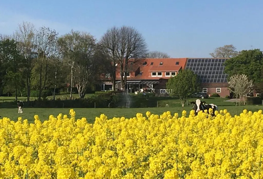 Pension Landart-1