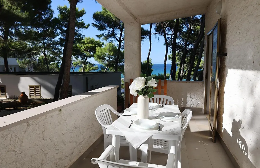 Sfinal Residence-1