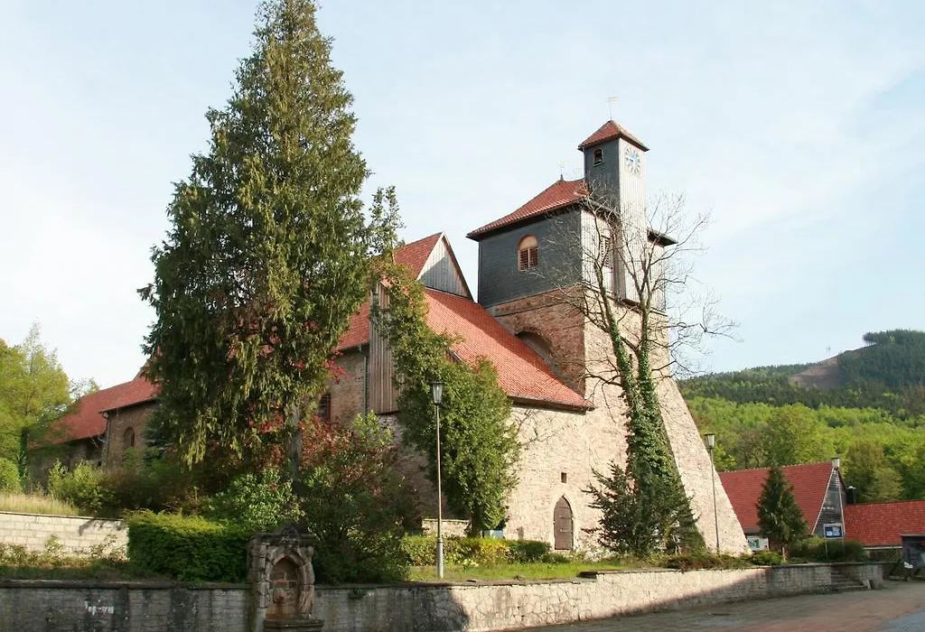 Kurpark Hotel Im Ilsetal-1