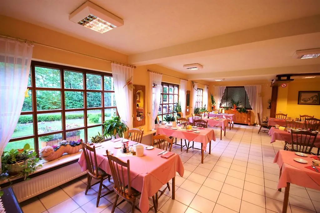 Hotel Weidenau-1