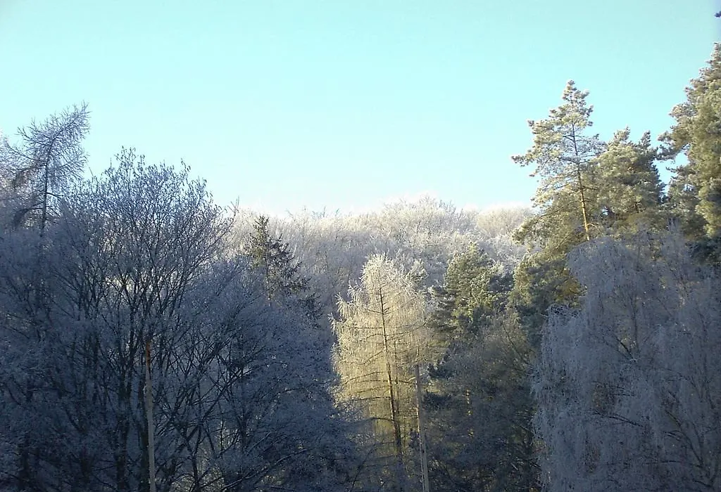 Waldgaststätte Sennhütte-1