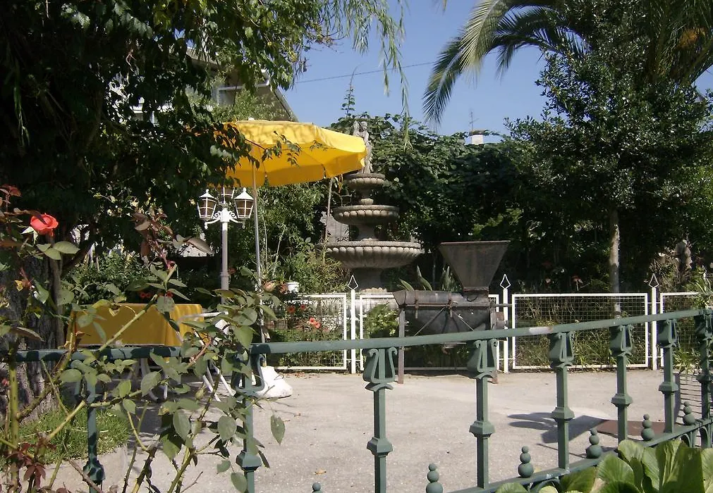 A Cepa-1