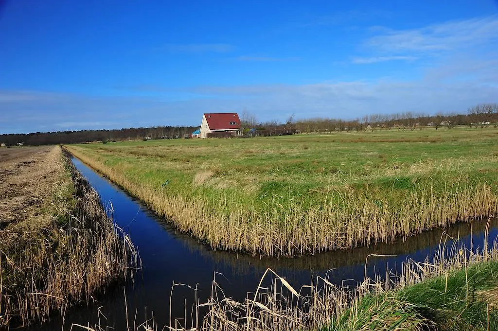 Witte Weelde Texel-1