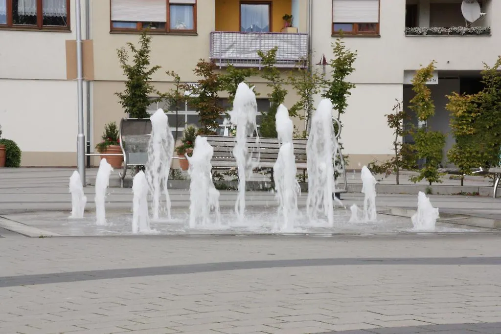 BoardingHouse Sinsheim zentral am Burgplatz-1