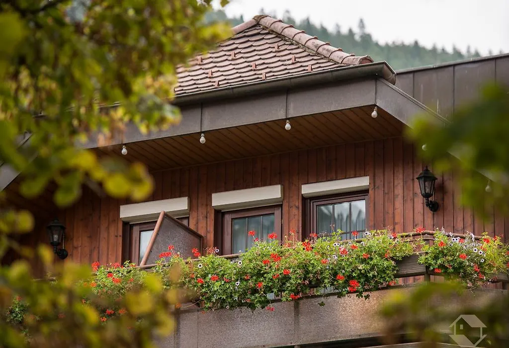 Hotel Restaurant Alte Linde-1