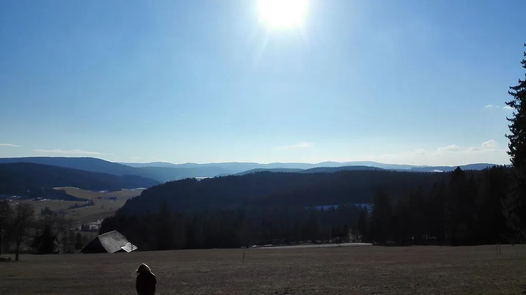Pension Forsthaus Taele - Das Gaestehaus Vom Schwarzwaldgasthaus Salenhof-1