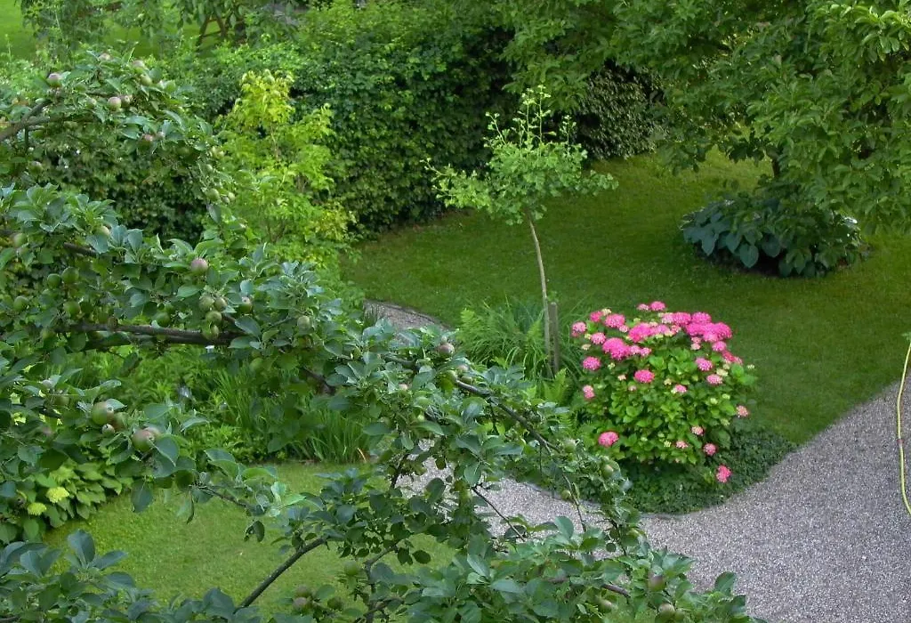 Altes Landhaus am Park (Bed&Breakfast)-1