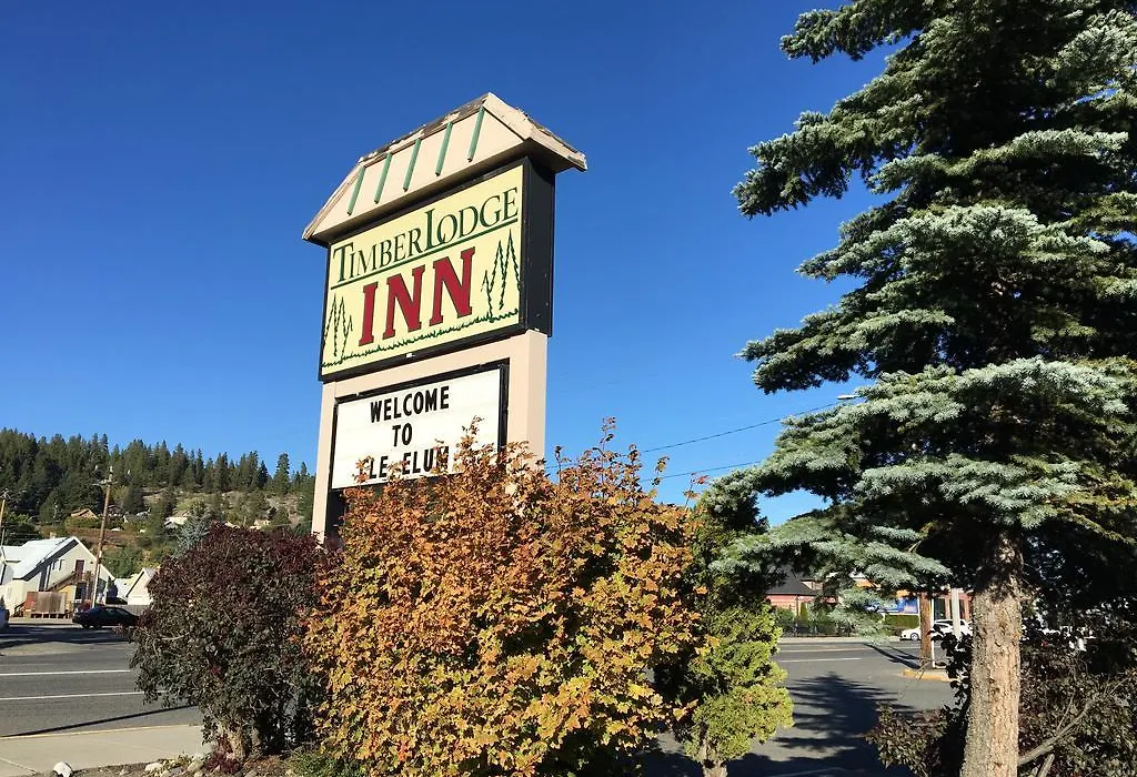 Timber Lodge Inn-1