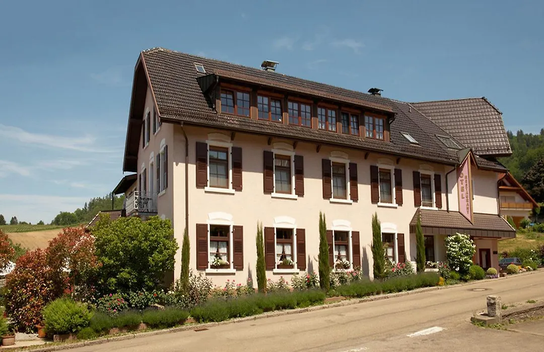 Rebstock Kappelwindeck-1