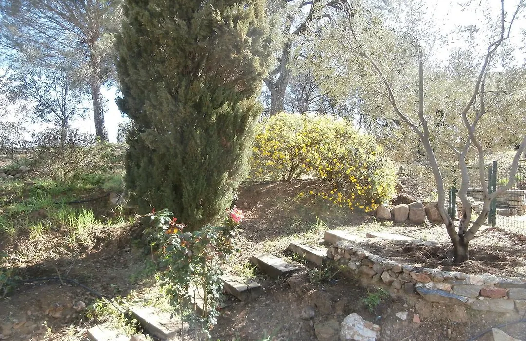 La Maison des Oliviers-1