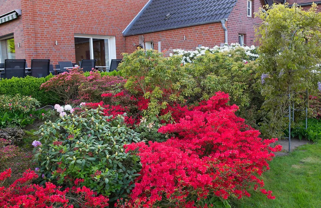 Hotel Restaurant Lütkebohmert-1