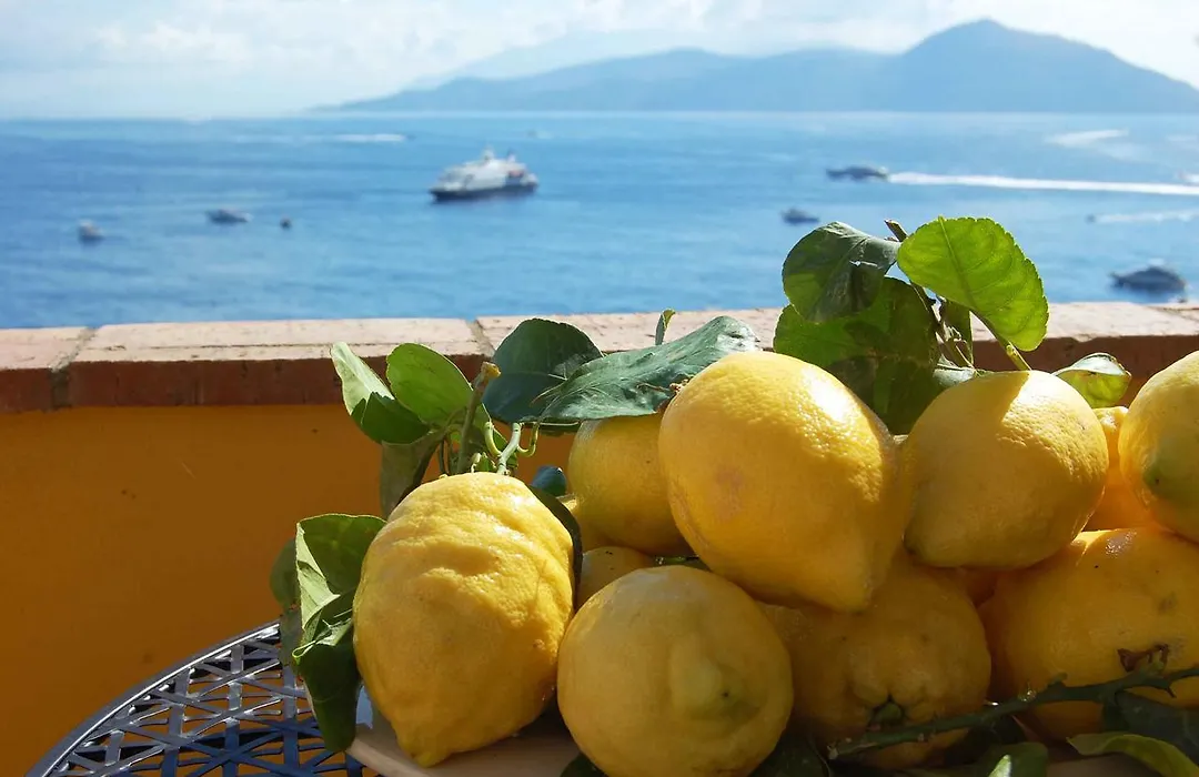 La Terrazza Sul Mare-1