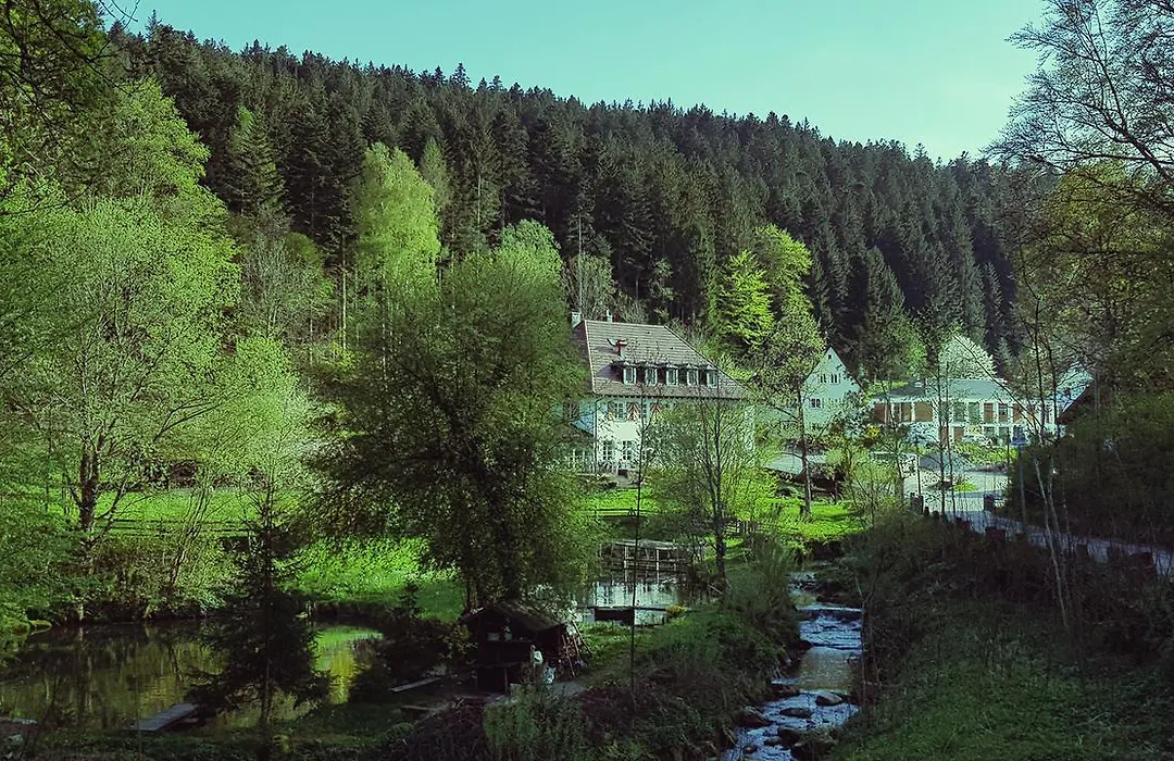Gut Lauterbad Hotel-1