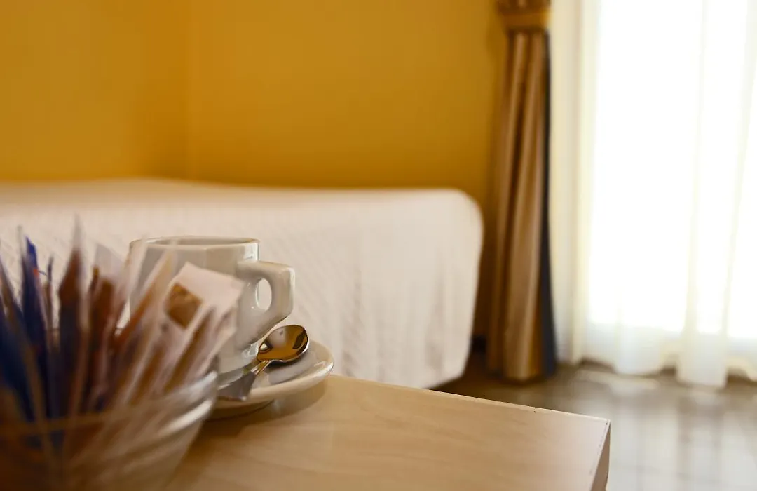 Hotel Ariston-1