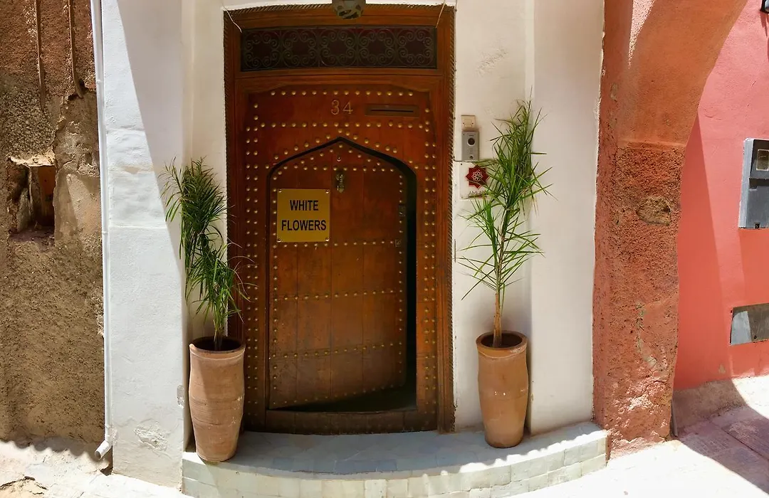 Riad White Flowers-1