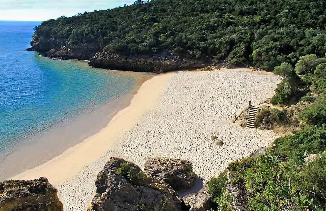 Halma - Nature & Sea-1