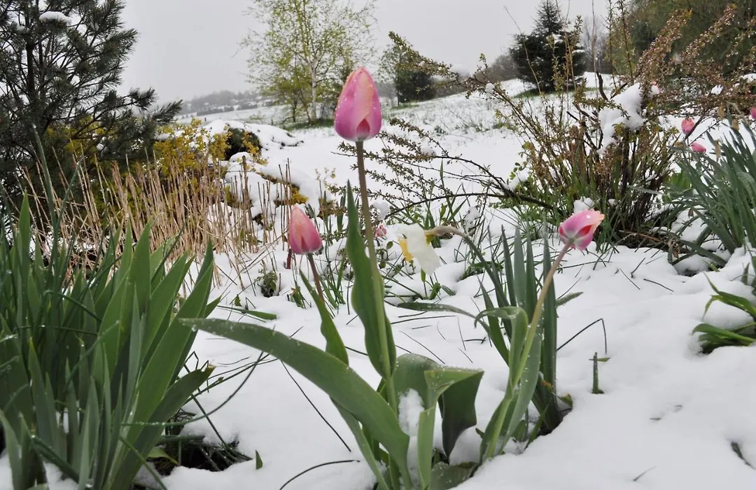 Bryn Meadow Farm B&B-1