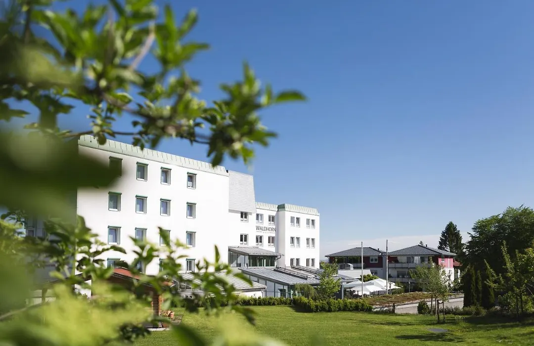 Hotel Waldhorn-1