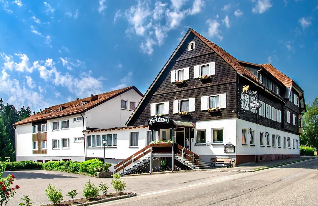 Hotel Hirsch-1