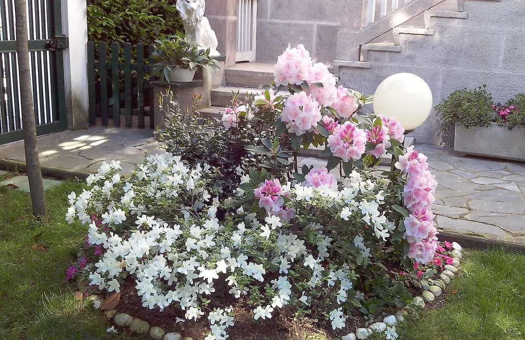 B&B Le Magnolie-1