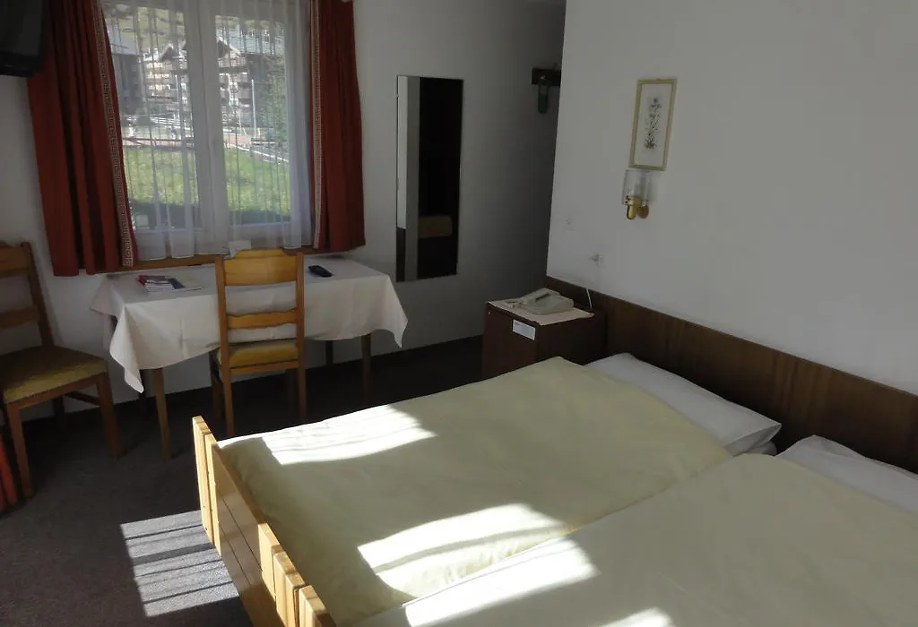 Hotel Alfa Zermatt-1