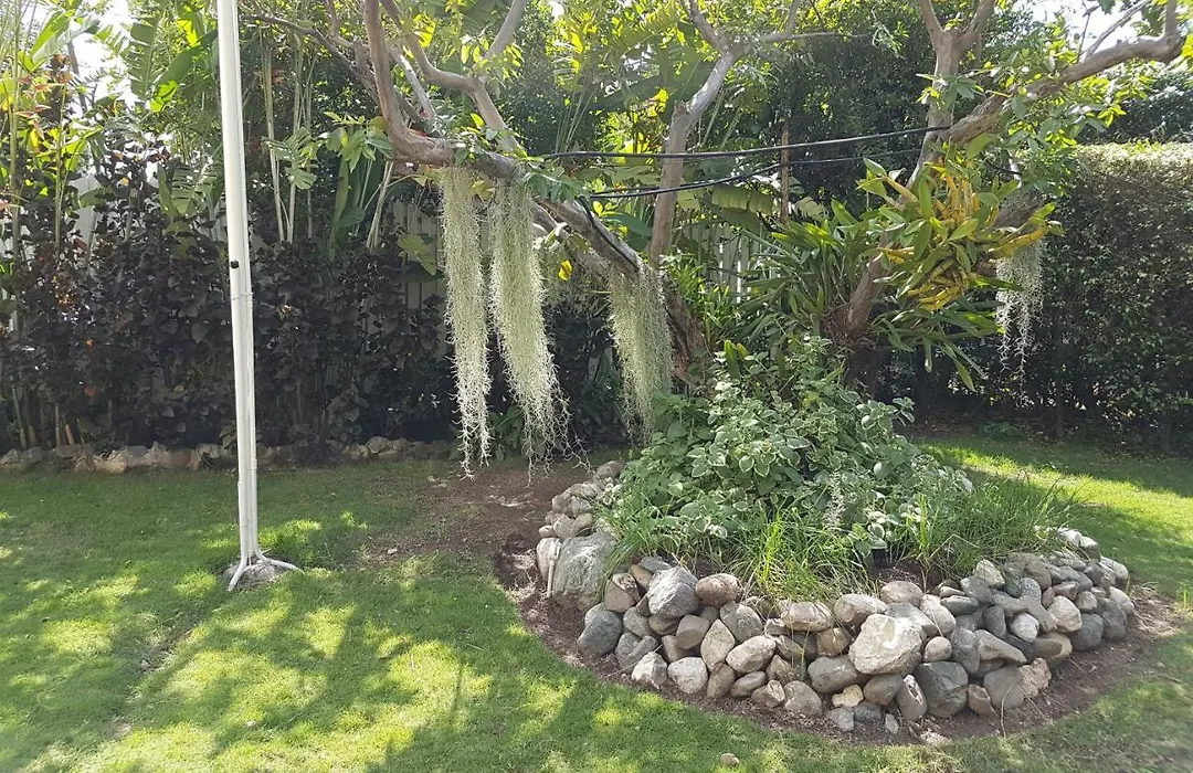 Kingston Cottage-1