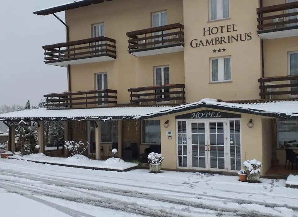 Hotel Gambrinus-1