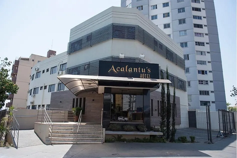 Acalantus Hotel-1