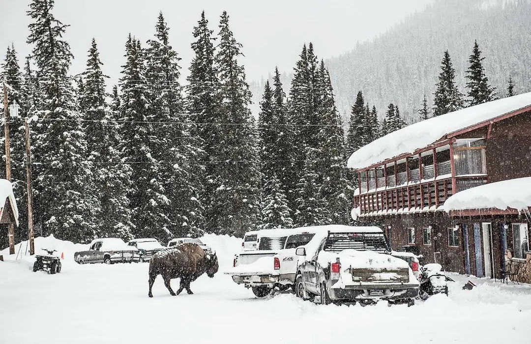 High Country Motel And Cabins-1