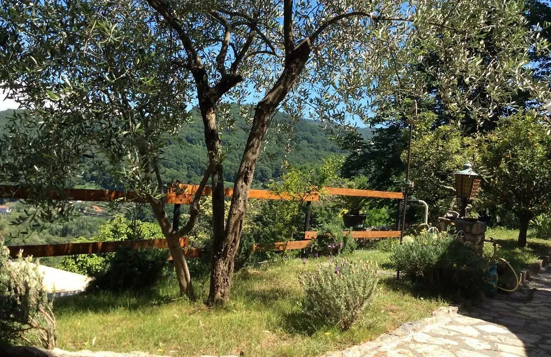 Cinqueterre Alla Chetichella-1