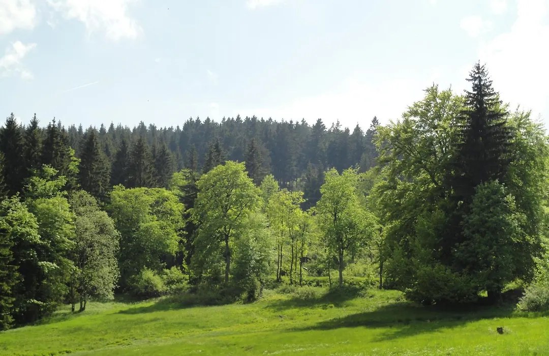 Obere Schweizerhütte-1