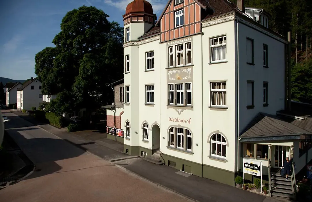 Hotel Weidenhof-1