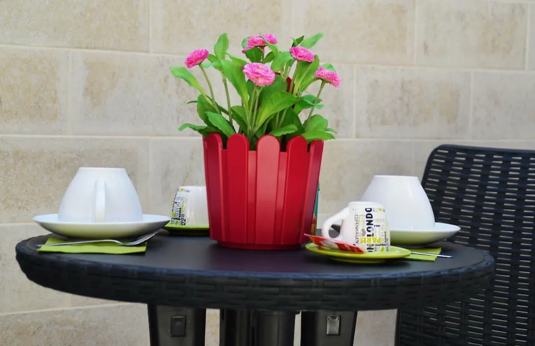 B&B San Domenico-1
