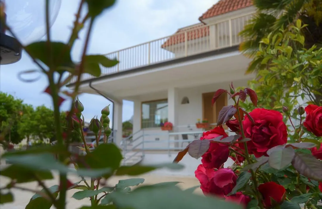 Guesthouse Holiday Formia Beach-1