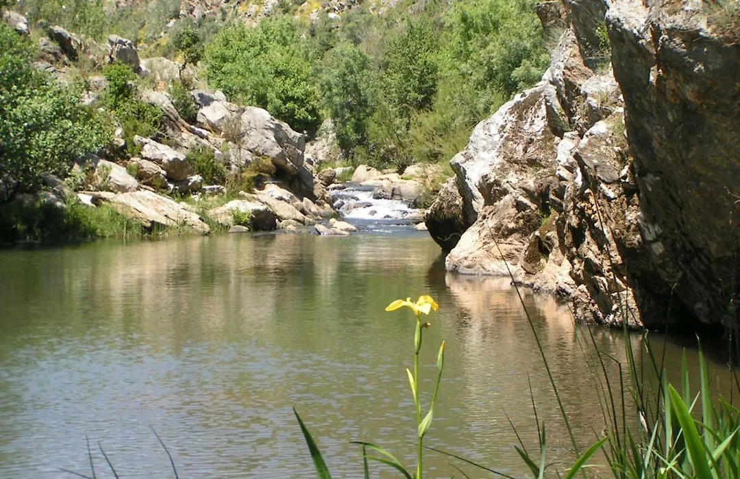 Blue Guide Milfontes-1