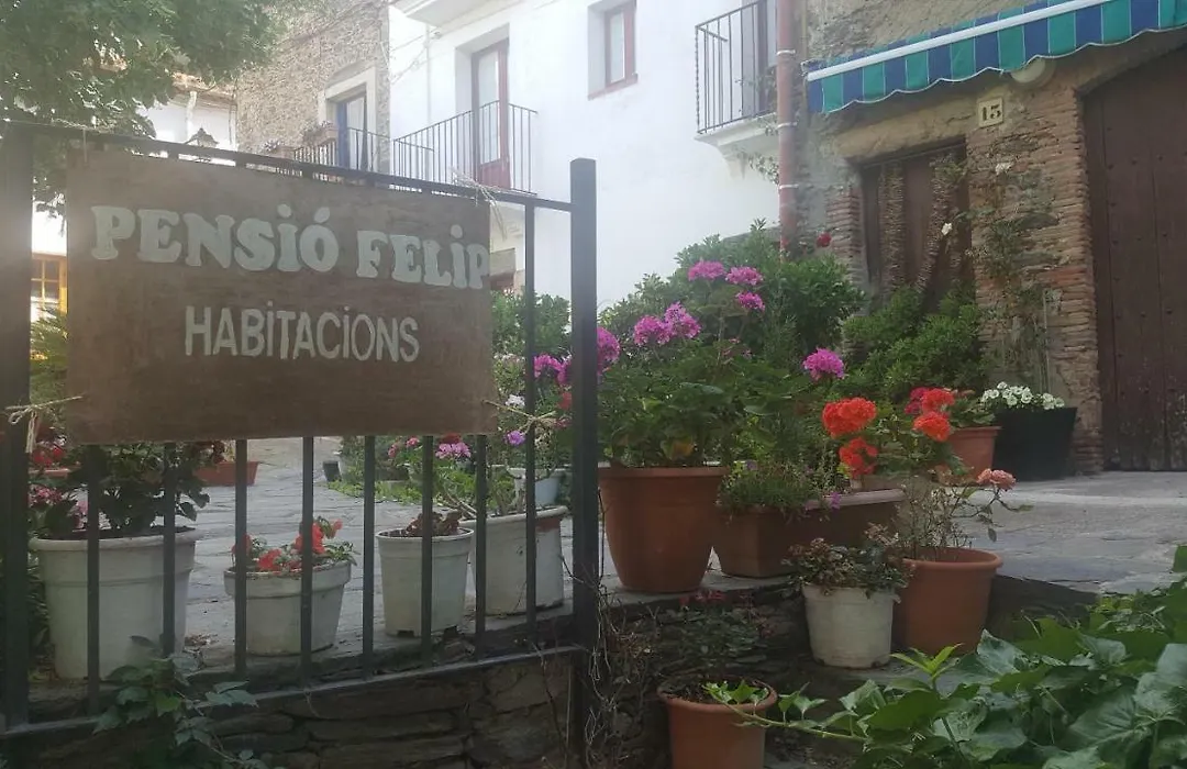 Fonda Felip-1