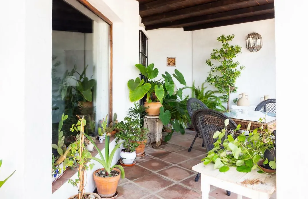 La Mejorana-1