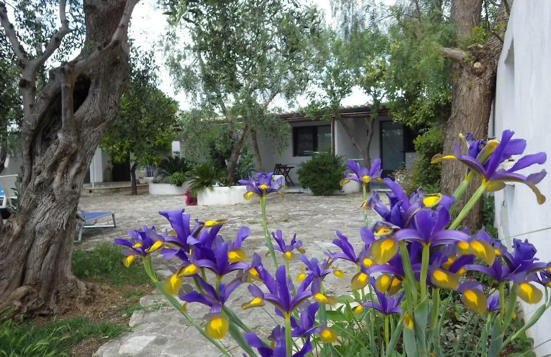 B&B Masseria Liberatore-1
