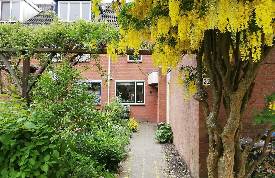 Homestay Utrecht-1