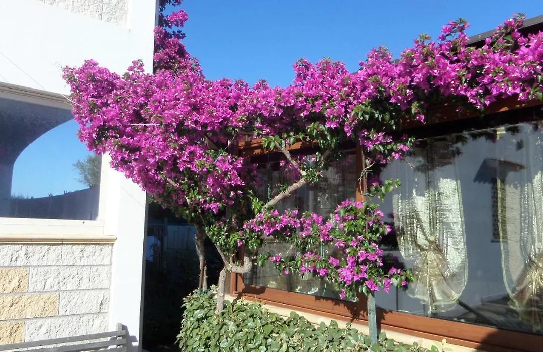 B&B La Posada Stintino-1