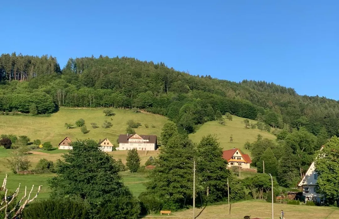 Hotel&Restaurant Mühlenglück-1