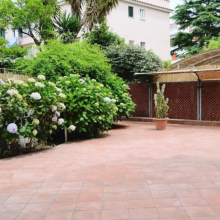 Green House-2