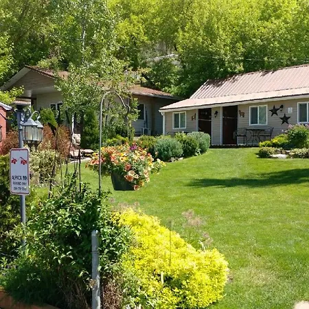 Alpaca Inn, The-3