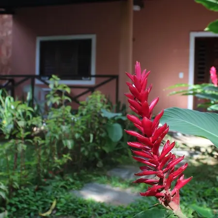 Hotel Cantinho Das Flores-3