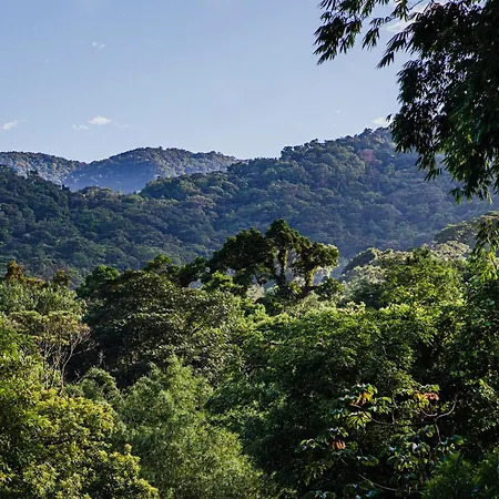 Casa Bacarirá - Floresta com Yoga e Café da Manhã Vegano-3