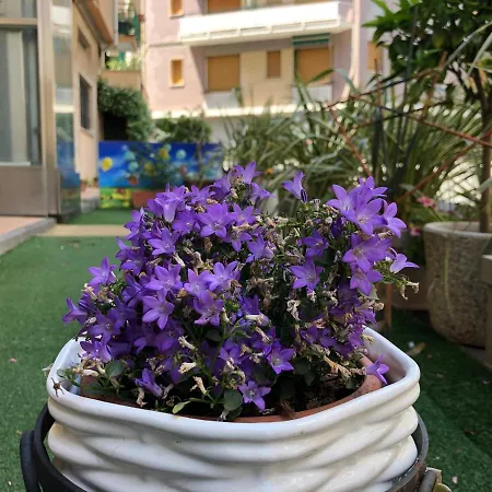 Casa Vacanze Isophylla-2